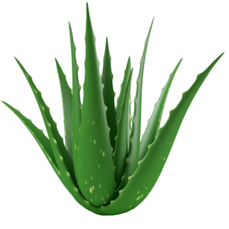kisspng-aloe-vera-medicinal-plants-gel-leaf-5b340f690711c5.979262441530138473029