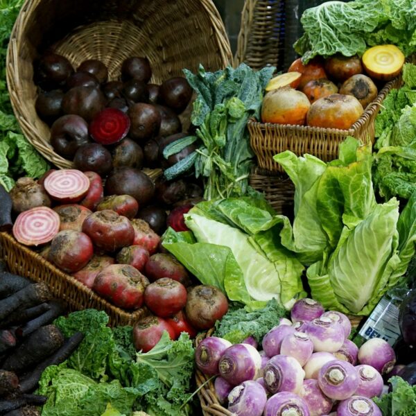 Top 7 Food High in Nitrates for Better Health and Performance