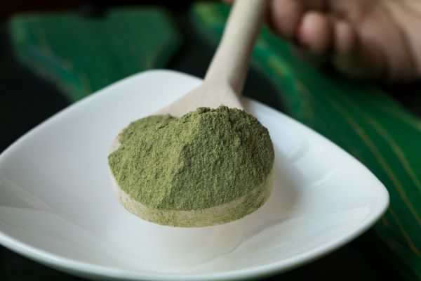 Green food powder will not boost your health as much as fresh fruits and vegetables - Dr. Nathan Bryan at N1O1