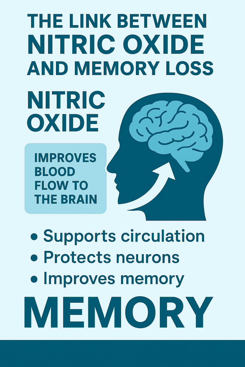 Nitric Oxide Affects Memory and Brain Function